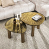 Table basse moderne métal et verre H 45 cm Elyptic