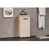 Meuble bas de salle de bain moderne chêne/cachemire Leane