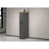 Colonne de cuisine 2 tiroirs anthracite mat/chêne wotan Solena