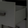 Colonne de salle de bain 2P moderne anthracite/chêne Venitia