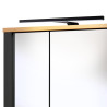 Ensemble salle de bain moderne 2 éléments anthracite/chêne Venitia