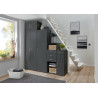 Armoire de buanderie graphite 1 porte profondeur 54 cm Jesy