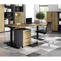 Bureau droit assis-debout &eacute;lectrique ch&ecirc;ne/noir Organza