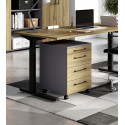 Caisson de bureau mobile ch&ecirc;ne/graphite Organza