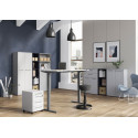 Ensemble de bureau moderne Hacienda