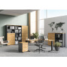 Armoire basse de bureau contemporaine chêne/graphite Louisiane