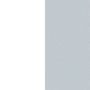 Blanc / Argenté