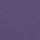 Violet foncé