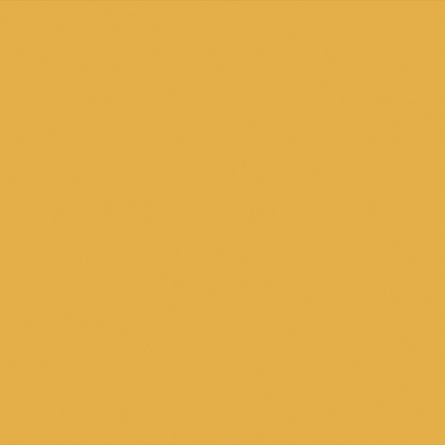 Jaune curry