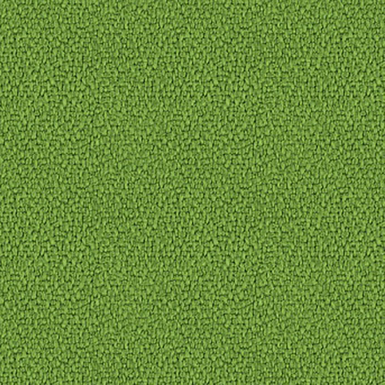 Prairie